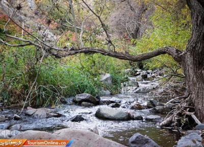 پاییز هزاررنگ در جنگل های کوهستانی طارم پاییز هزاررنگ در جنگل های کوهستانی طارم